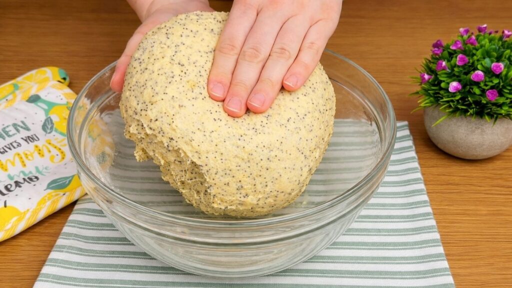 dough ball in oiled bowl covered with plastic wrap