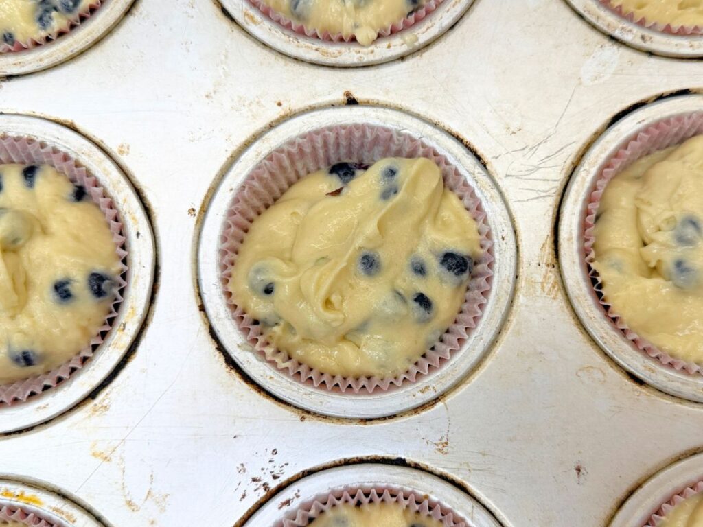 Blueberry muffin batter divided into a lined muffin pan