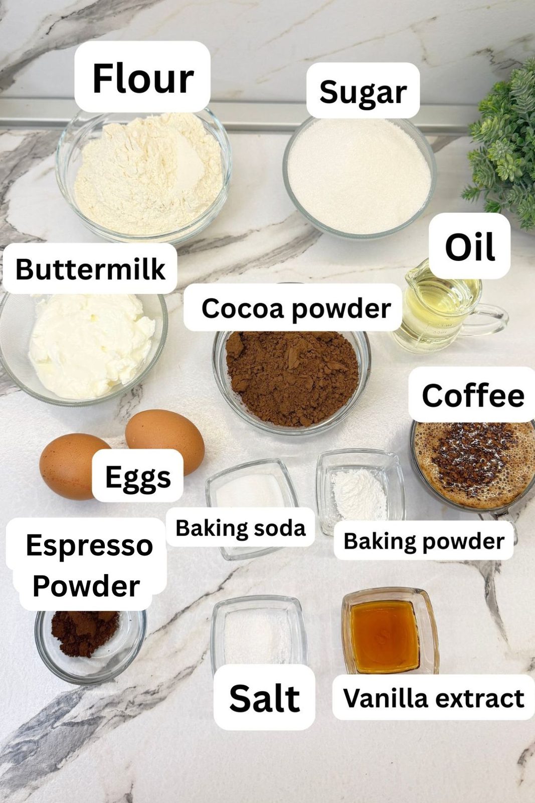 Ingredients for coffee chocolate cake, including flour, cocoa powder, espresso powder, coffee, eggs, buttermilk, sugar, and oil