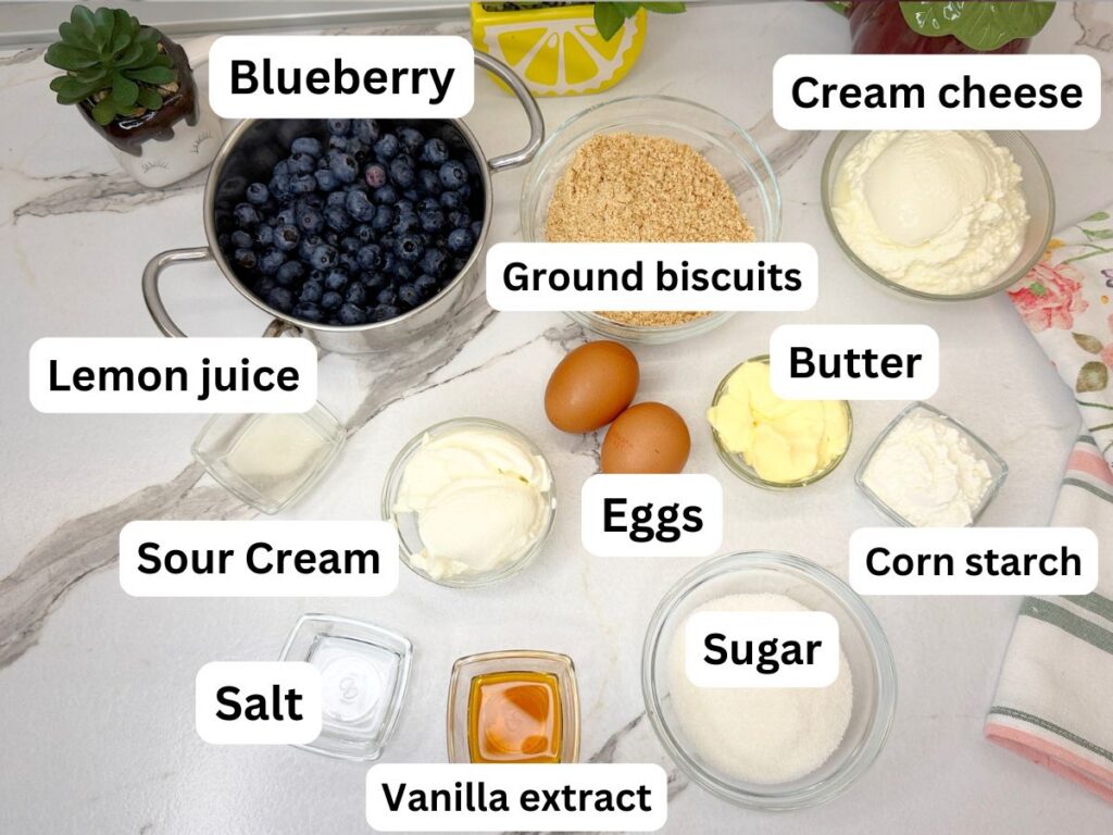 Ingredients for homemade blueberry swirl cheesecake arranged on a kitchen counter