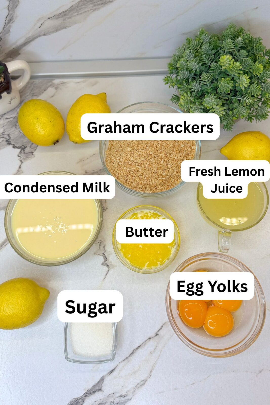 Six ingredients for lemon pie: graham crackers, sugar, butter, sweetened condensed milk, lemon juice, and egg yolks