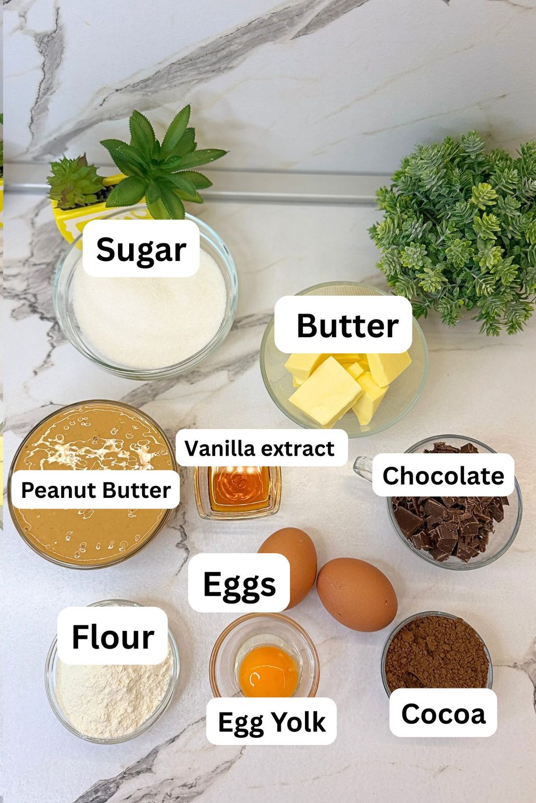 Ingredients for a peanut butter brownie recipe, including peanut butter, chocolate, butter, sugar, eggs, flour, cocoa powder, and vanilla.