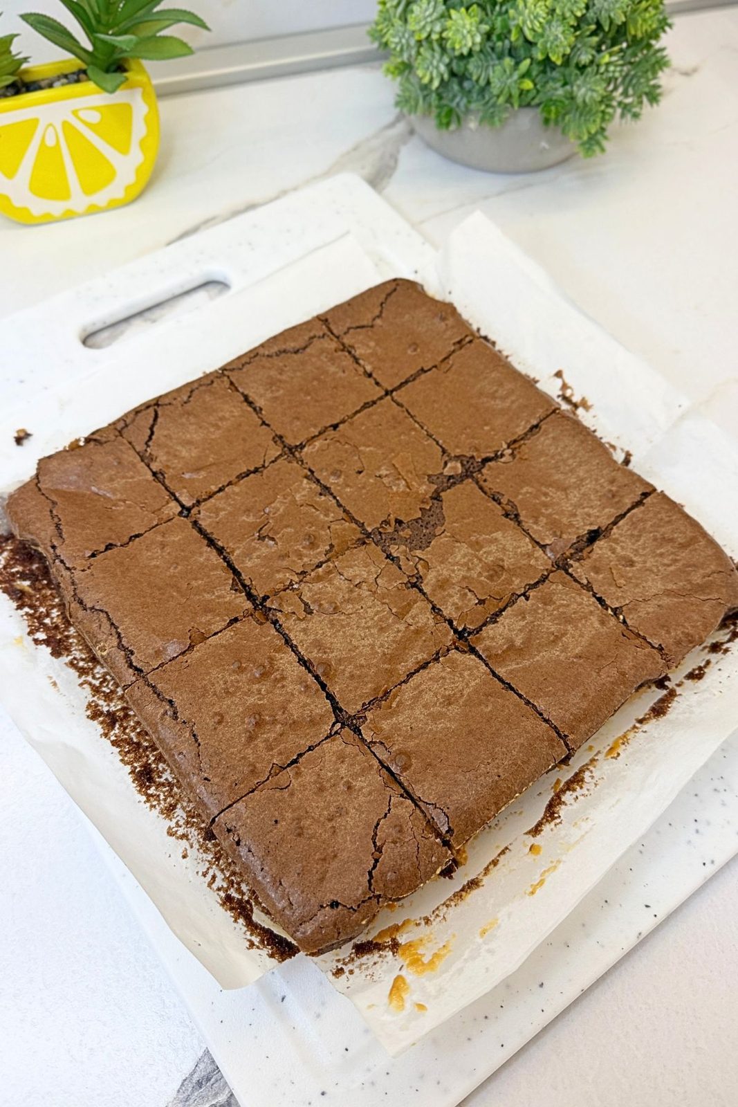 Cooled peanut butter brownie cut into 16 even squares on a white cutting board.