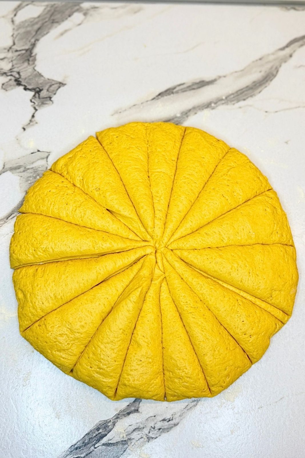 Pumpkin dough divided into 16 equal pieces before shaping