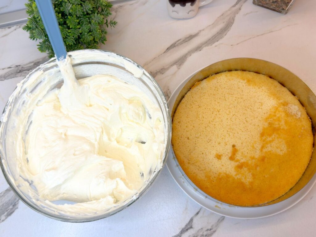 Prepared cheesecake filling beside a vanilla sponge cake base inside a cake ring