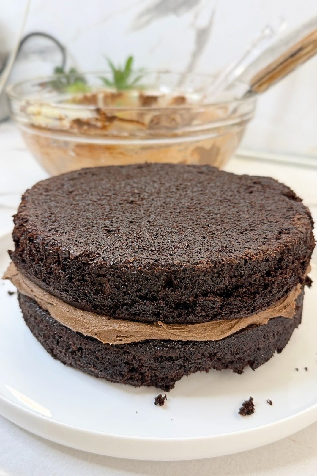 Two coffee chocolate cake layers stacked with creamy chocolate buttercream filling