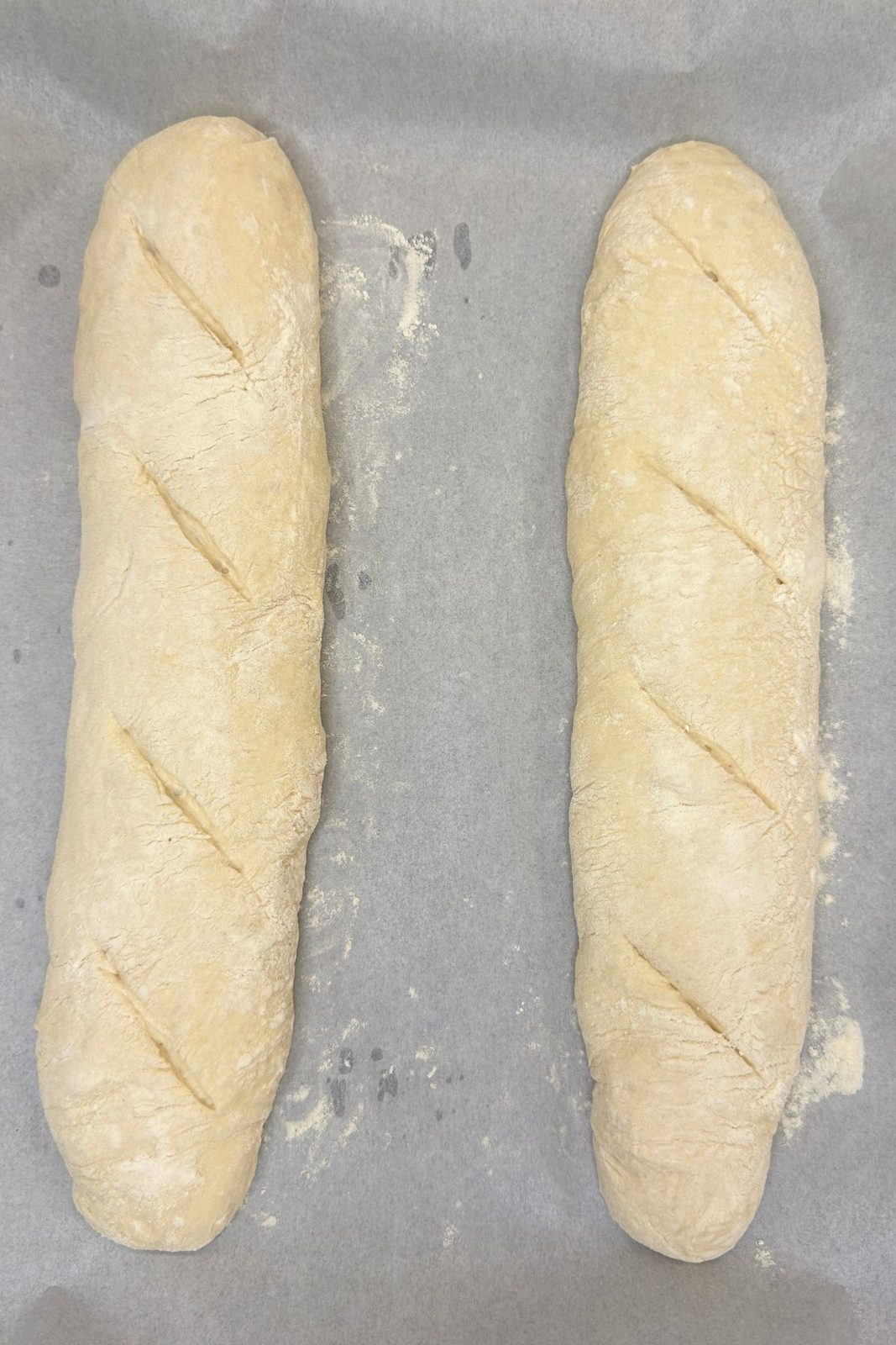 Shaped rustic bread loaves scored diagonally and ready for baking