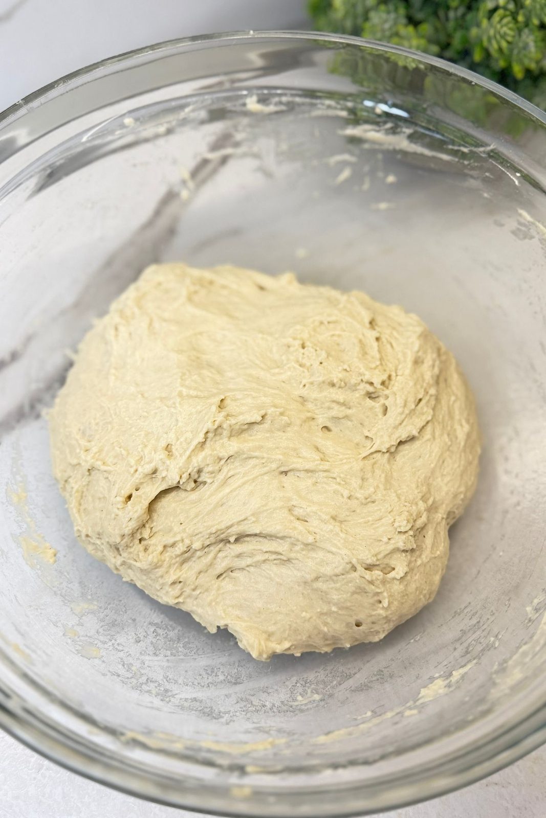 Bread dough gently folded down before the second rise