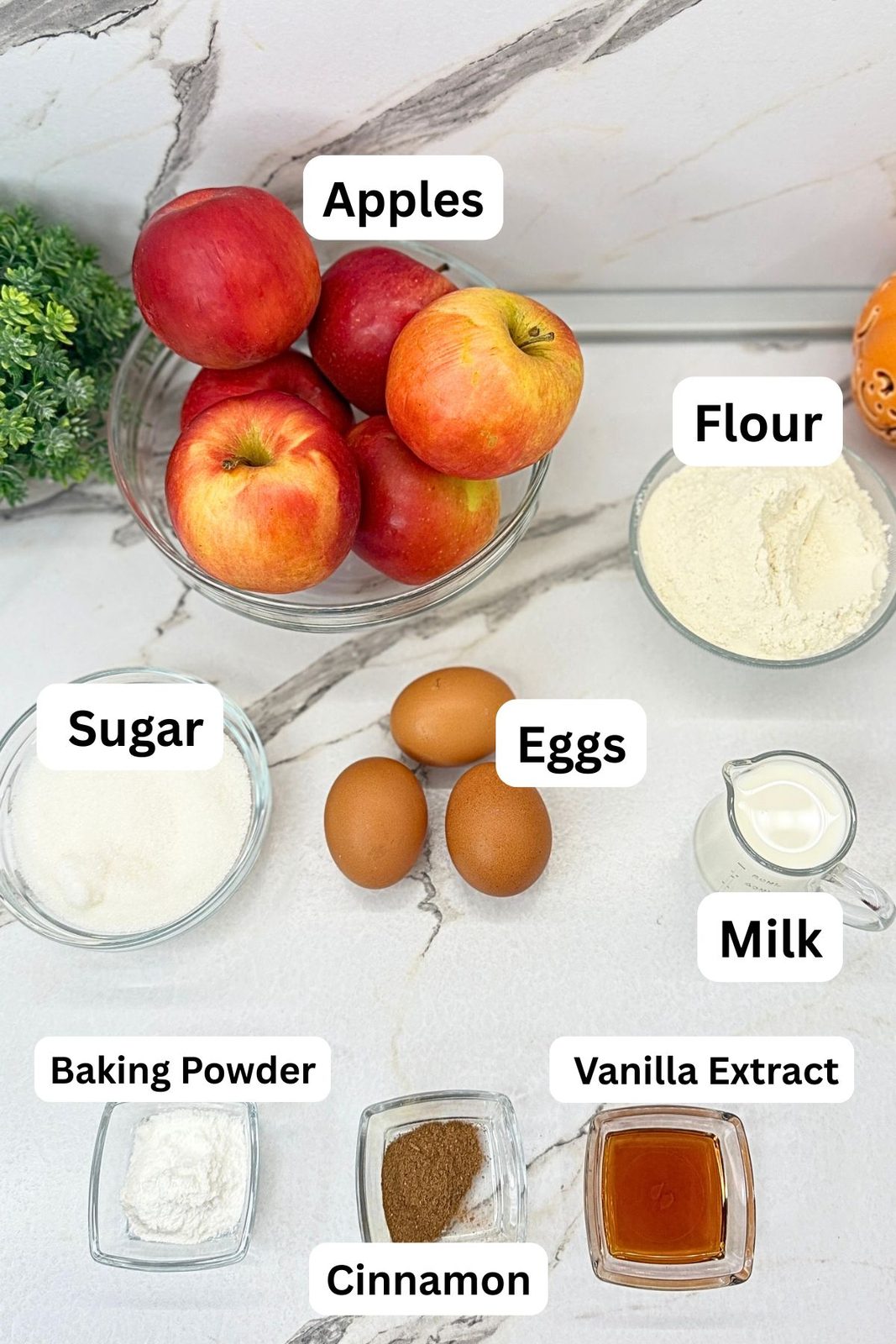 Ingredients for apple cinnamon cake roll: apples, flour, eggs, sugar, milk, baking powder, cinnamon, and vanilla extract.
