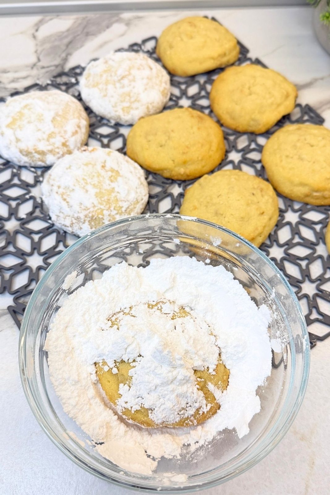 Warm cashew cookie being gently coated in powdered sugar