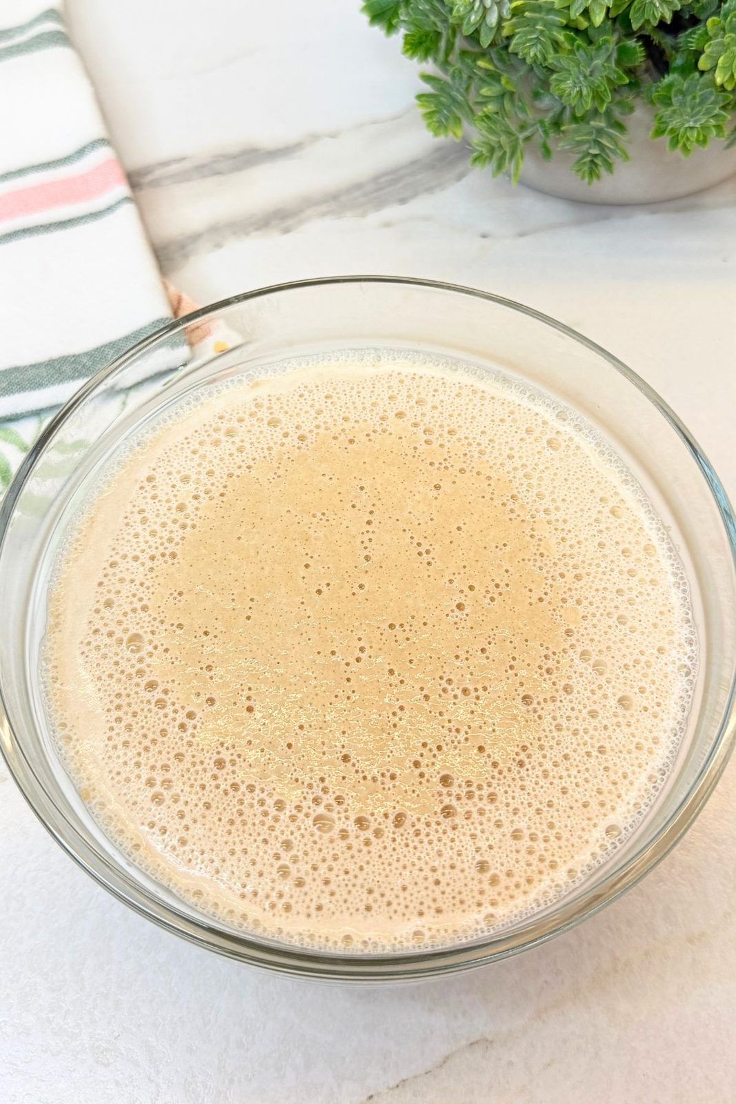 Foamy yeast mixture in a glass bowl after resting with warm milk and sugar.