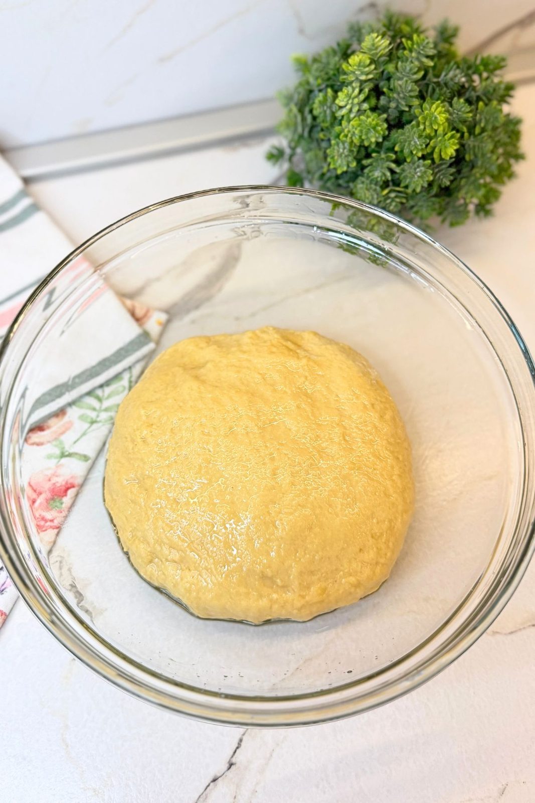Kneaded donut dough in a lightly oiled glass bowl, ready for its first rise.