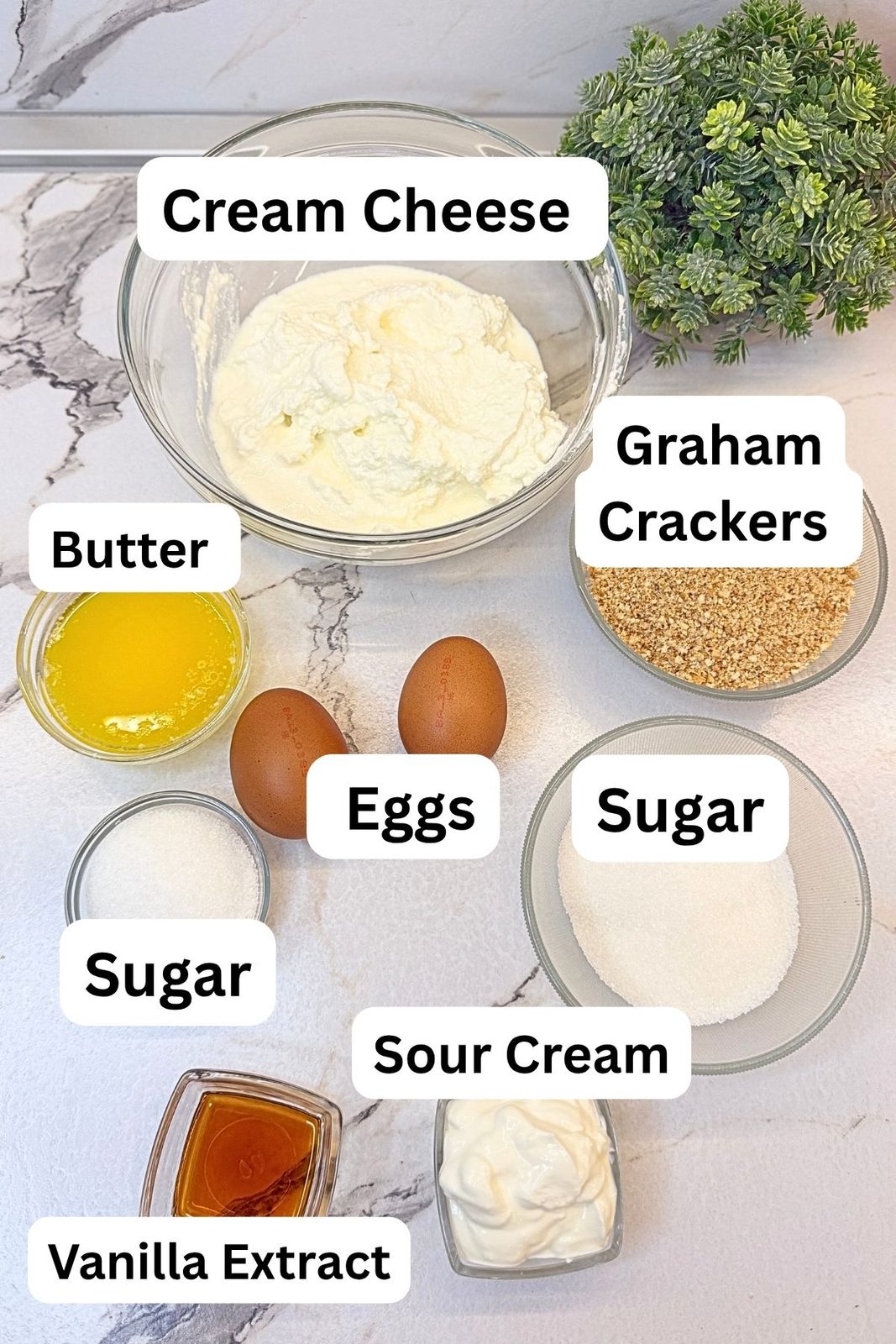 Ingredients for mini cheesecakes including cream cheese, graham crackers, eggs, sour cream, sugar, butter, and vanilla