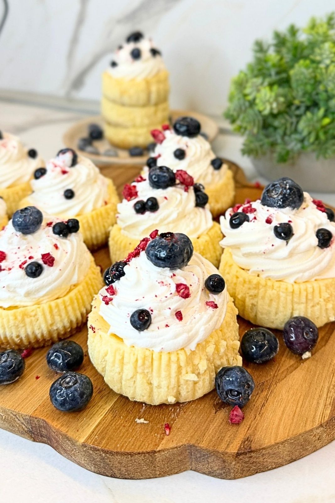 Creamy mini cheesecakes topped with whipped cream, fresh blueberries, and crushed raspberries