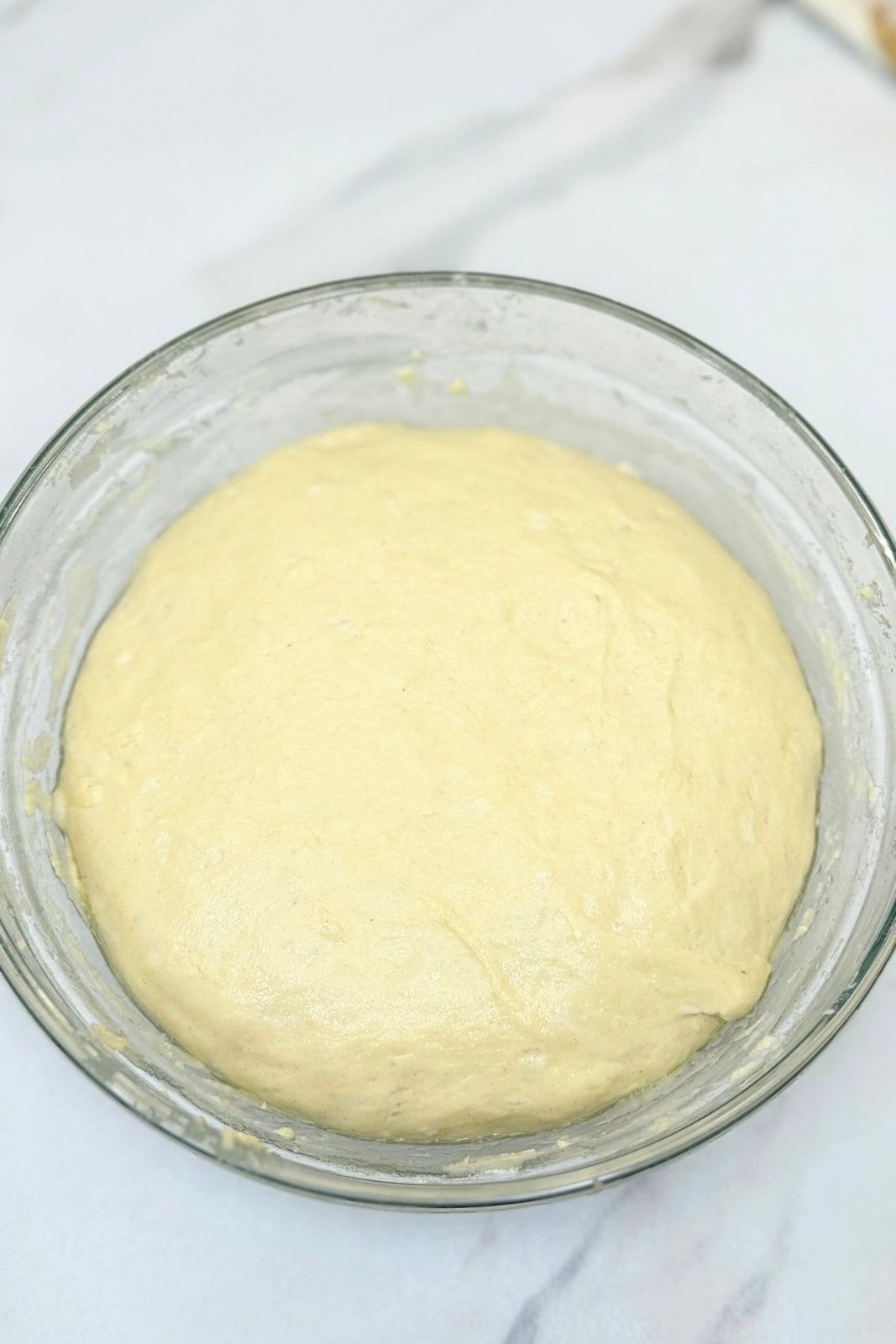 Homemade pizza dough doubled in size after rising
