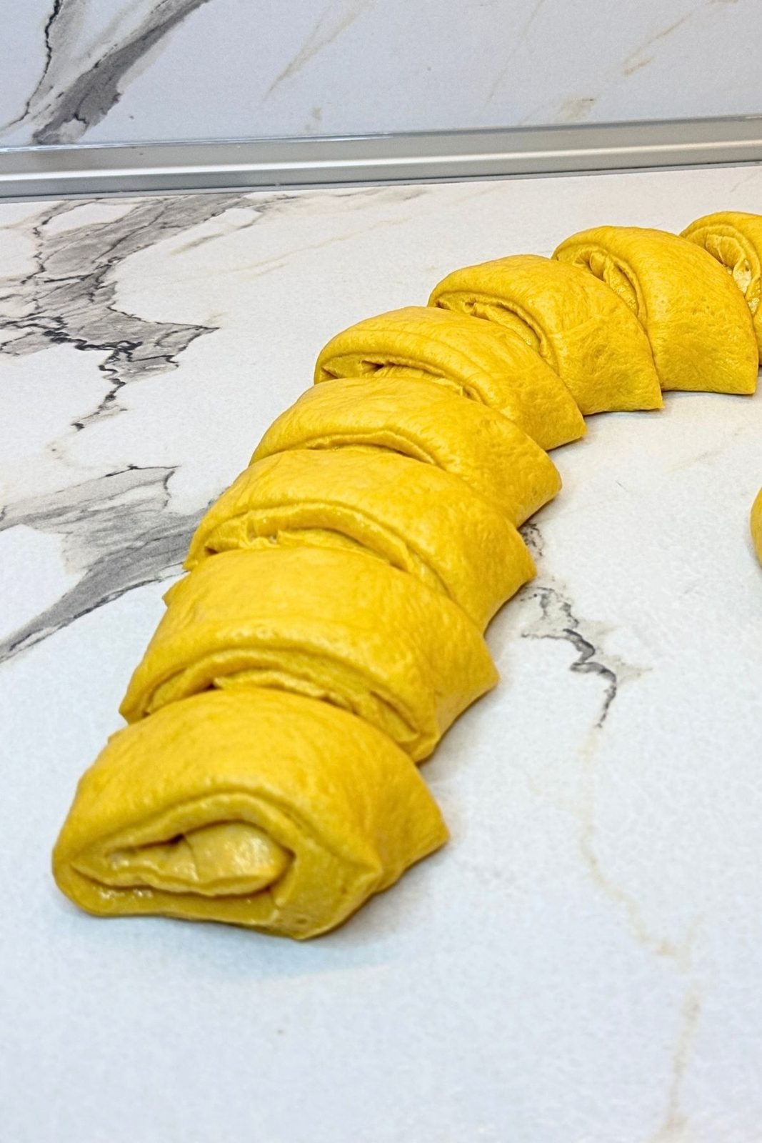 Rolled pumpkin dough cut into equal pieces for swirled dinner rolls