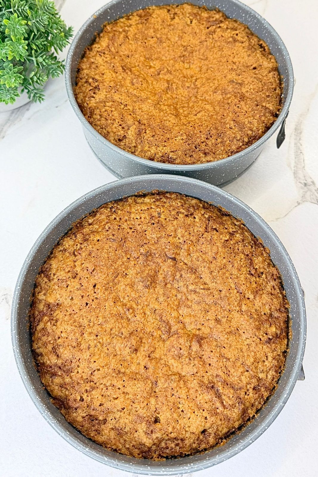 Two baked carrot cake layers cooling in round cake pans.
