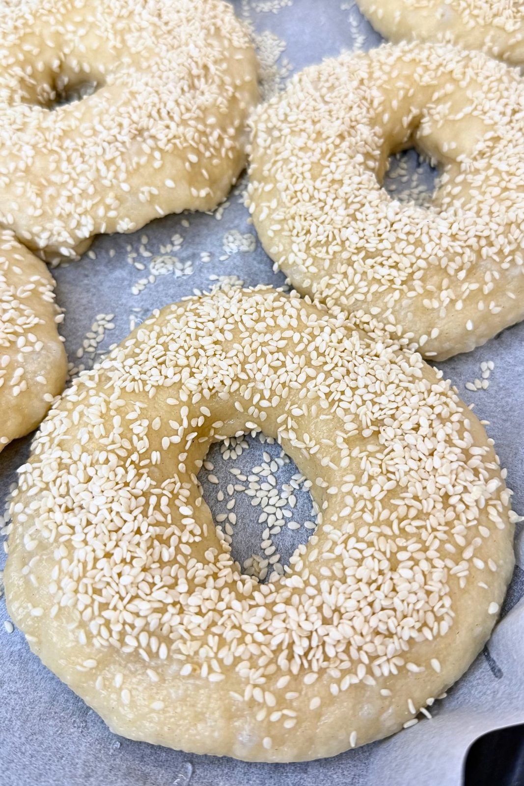 Boiled bagels topped with sesame seeds on a parchment-lined baking sheet, ready for baking.