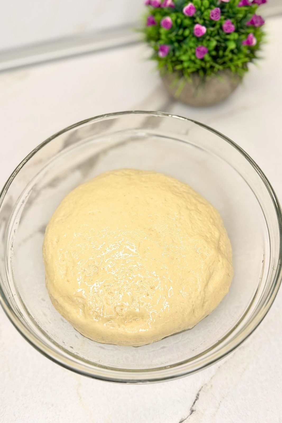 Kneaded bagel dough in a glass bowl before the first rise.