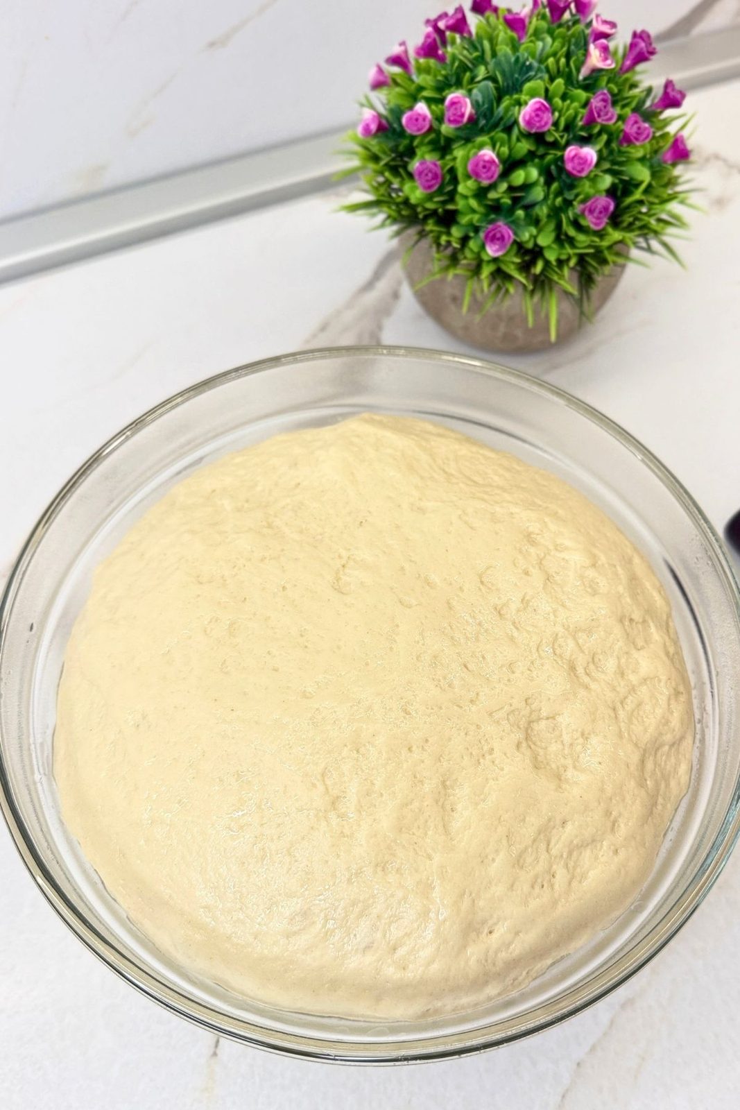 Risen bagel dough filling a glass bowl after doubling in size.