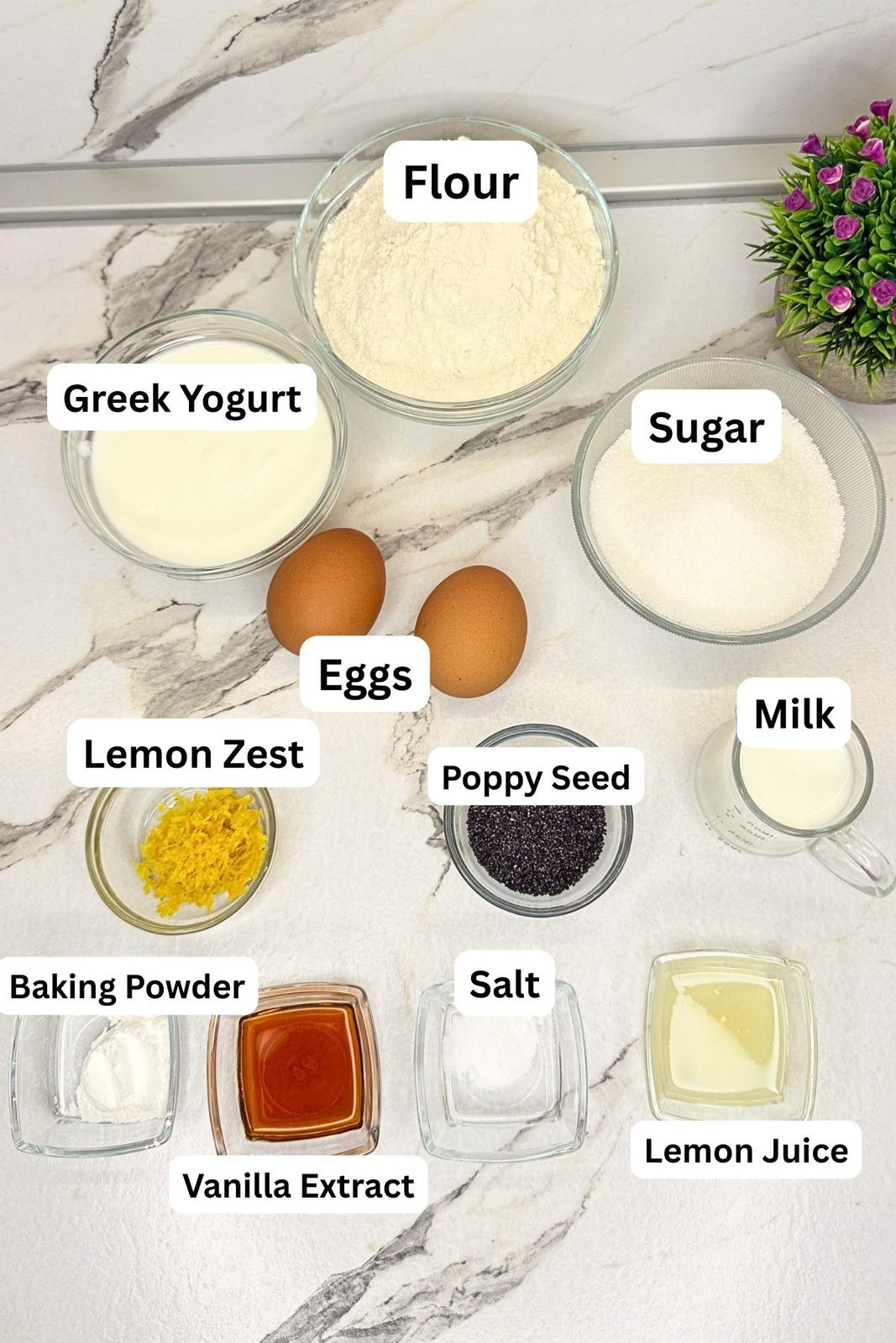 Ingredients for lemon poppy seed muffins in labeled bowls, including flour, Greek yogurt, sugar, eggs, lemon zest, poppy seeds, milk, baking powder, salt, vanilla extract, and lemon juice.