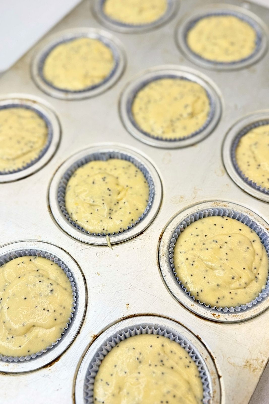 Lemon poppy seed muffin batter divided among paper liners in a muffin pan, ready to bake.