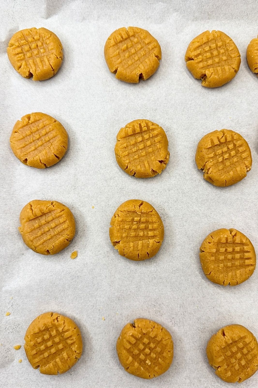 Unbaked peanut butter cookies with crisscross fork marks arranged on parchment paper.