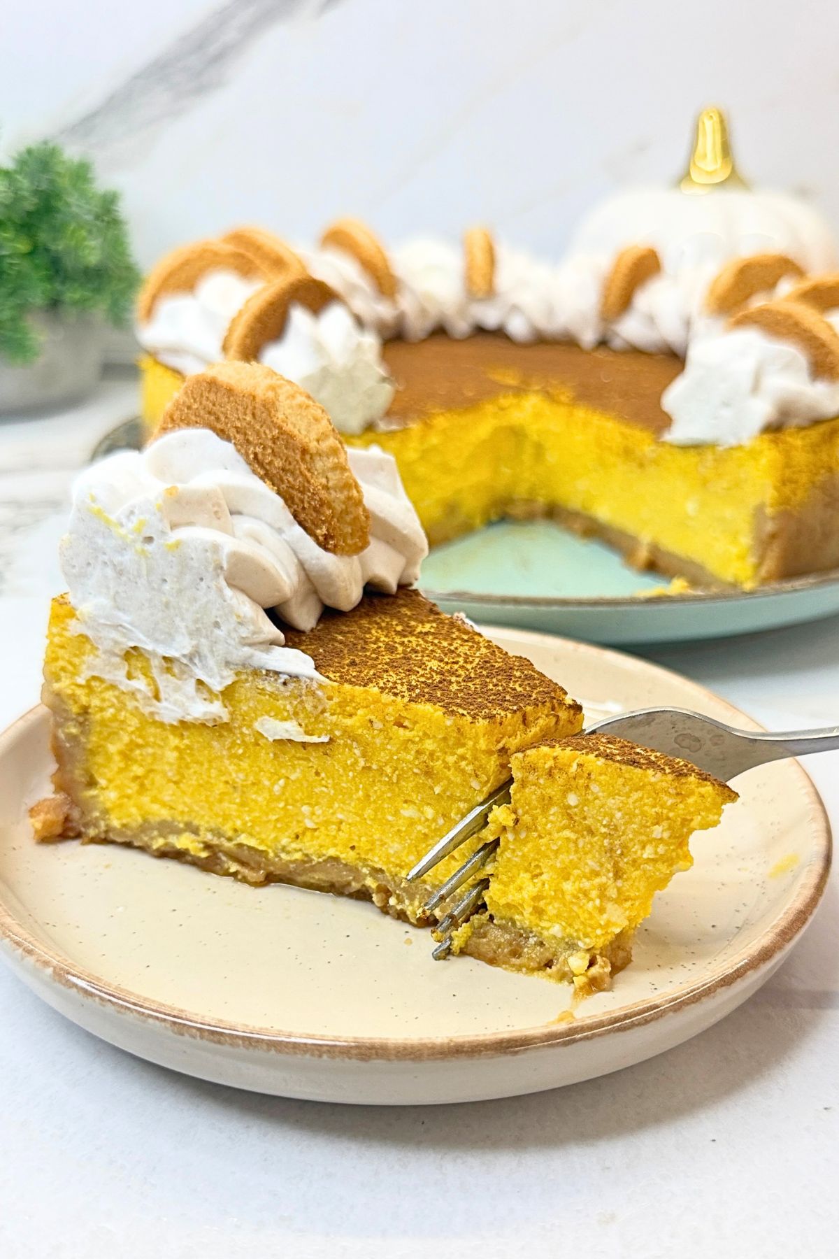 Pumpkin cheesecake with a graham cracker crust, topped with whipped cream, cinnamon, and cookies on a light ceramic plate.