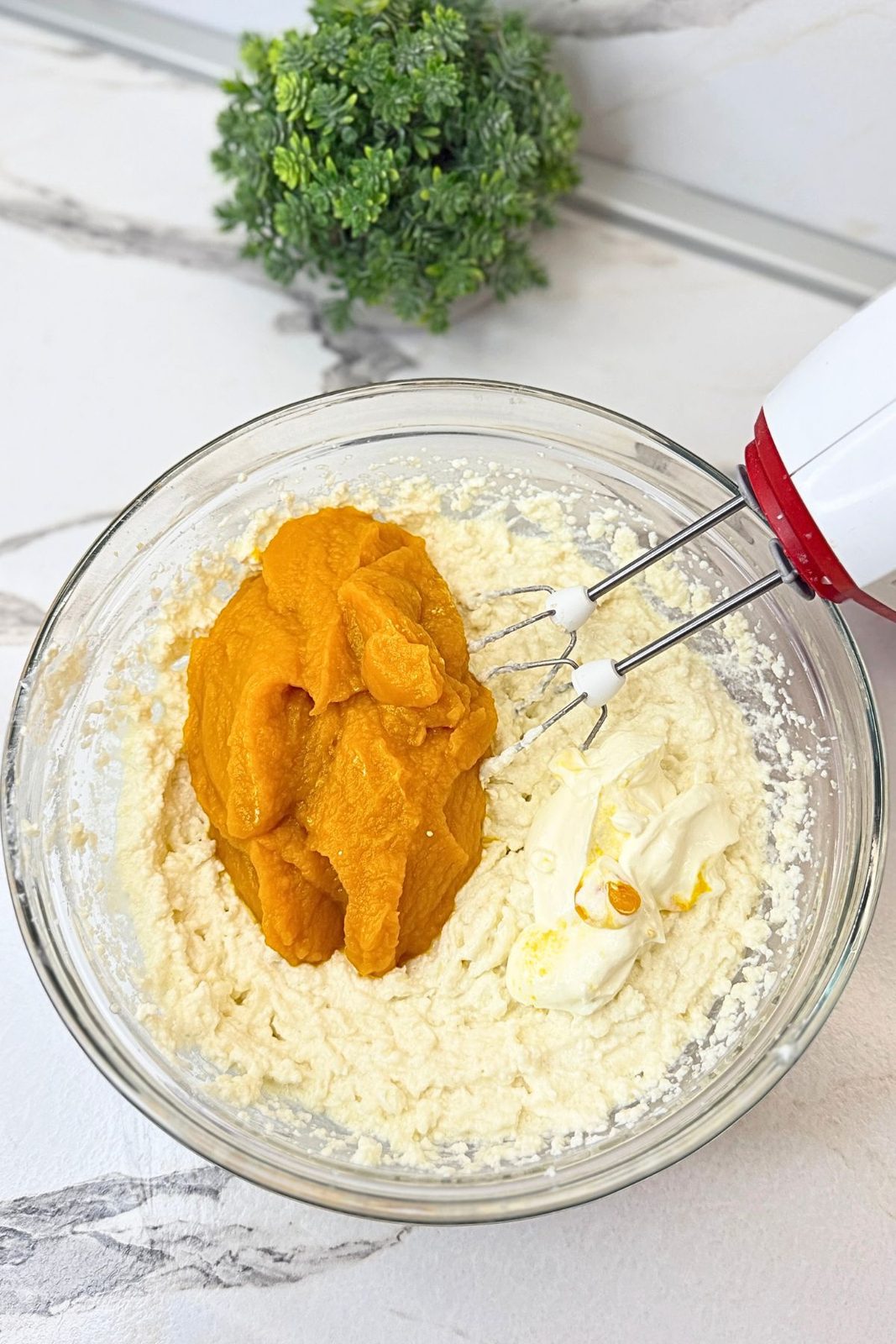 Pumpkin purée added to the cottage cheese mixture for the pumpkin cheesecake filling.
